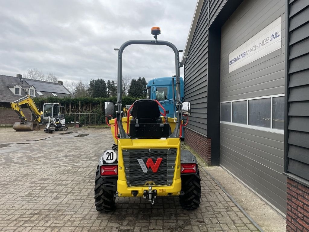 Minidumper του τύπου Sonstige Neuson DW30 wieldumper NIEUW, Neumaschine σε Neer (Φωτογραφία 11)