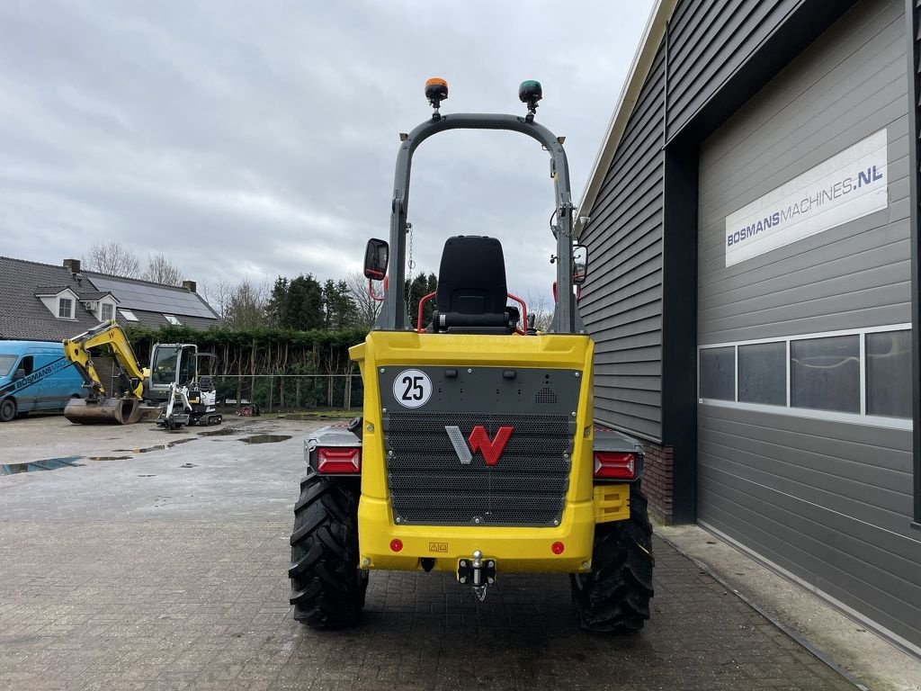 Minidumper typu Sonstige Neuson DW60 wiel dumper NIEUW, Neumaschine w Neer (Zdjęcie 10)