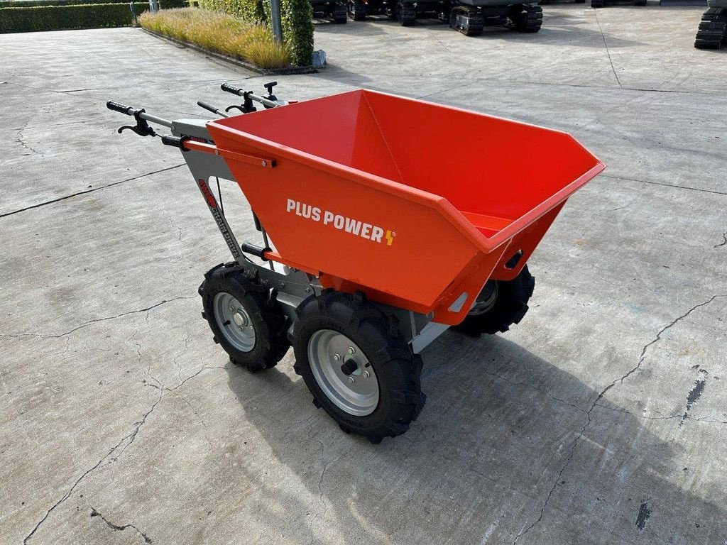 Minidumper Türe ait Sonstige Plus Power T30, Neumaschine içinde Antwerpen (resim 3)