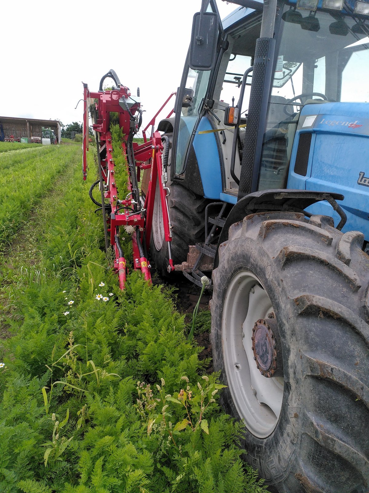 Möhrenvollernter des Typs Simon S3B, Gebrauchtmaschine in Obernzenn (Bild 2)