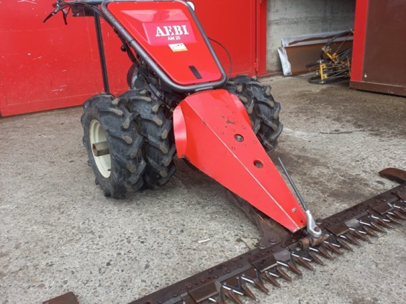 Motormäher typu Aebi AM 20, Gebrauchtmaschine w Egg (Zdjęcie 1)