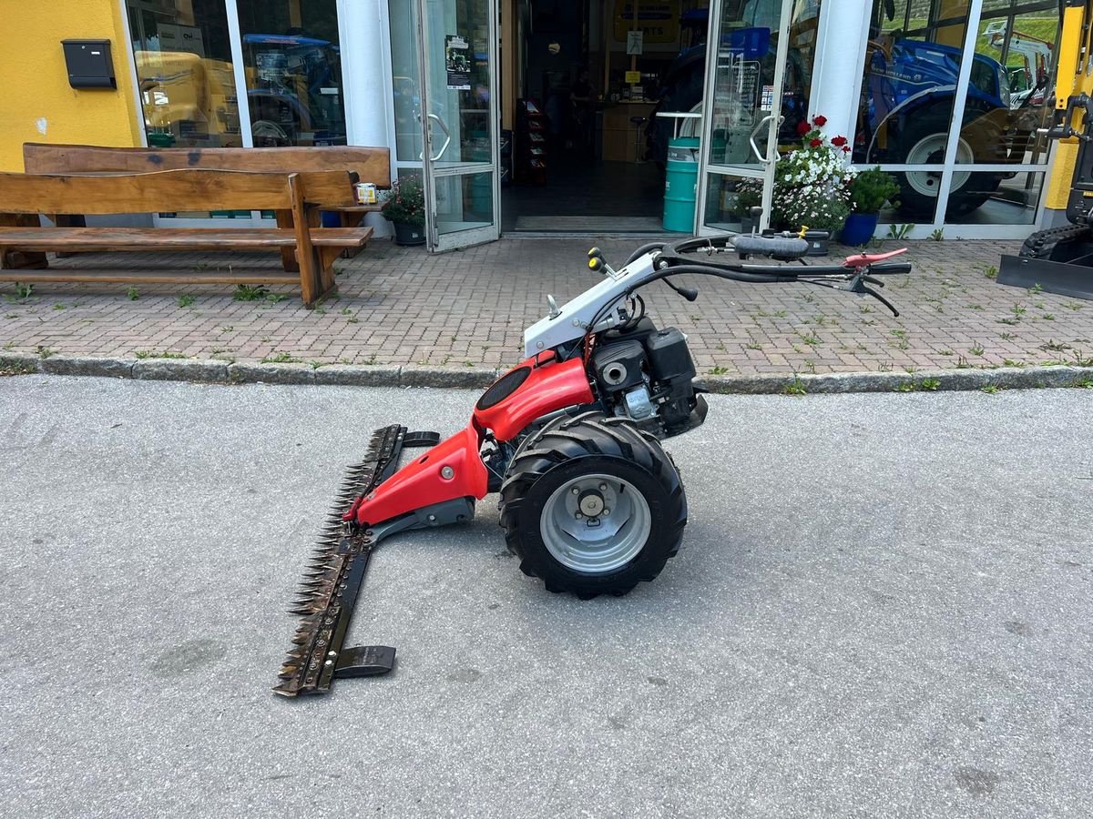 Motormäher Türe ait Aebi Sonstiges, Gebrauchtmaschine içinde Burgkirchen (resim 5)