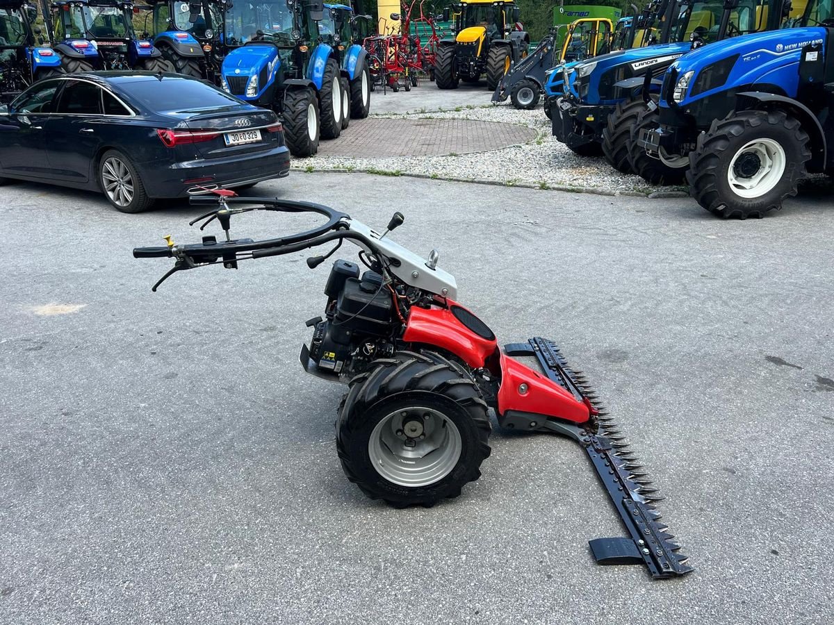 Motormäher des Typs Aebi Sonstiges, Gebrauchtmaschine in Burgkirchen (Bild 3)