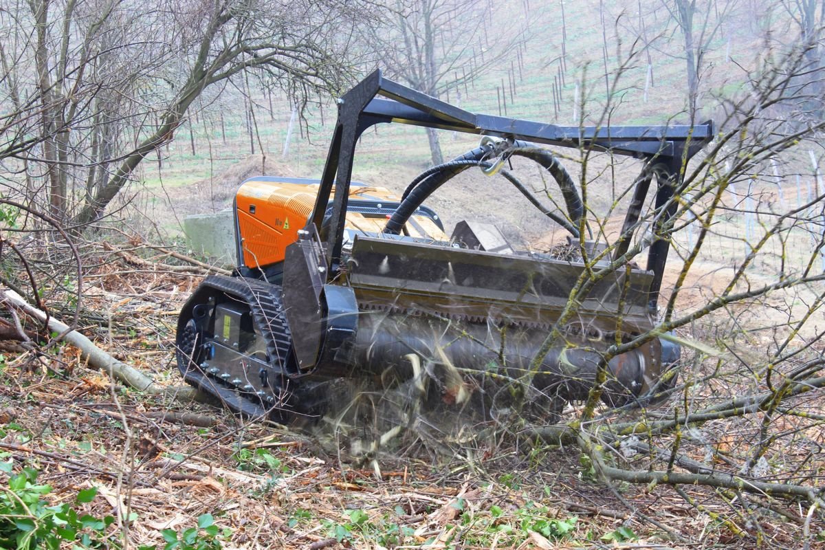 Motormäher del tipo Energreen RoboMAX, Vorführmaschine en Krustetten (Imagen 5)