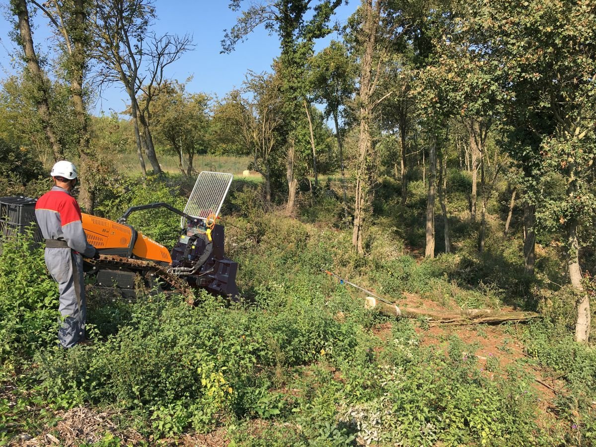 Motormäher typu Energreen RoboMAX, Vorführmaschine w Krustetten (Zdjęcie 1)