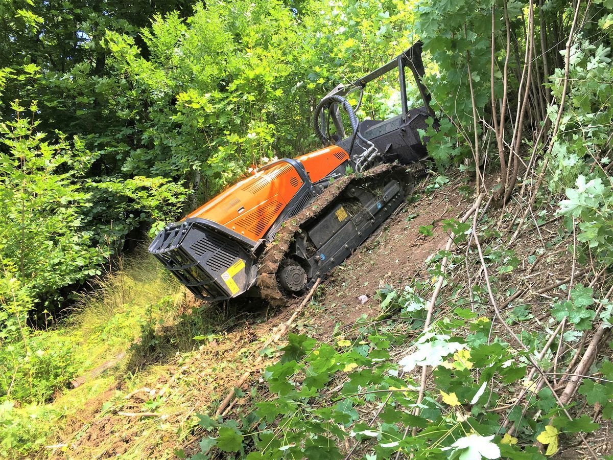 Motormäher Türe ait Energreen RoboMAX, Vorführmaschine içinde Krustetten (resim 4)