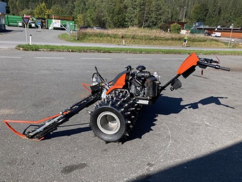 Motormäher del tipo Ibex G1, Vorführmaschine en Reith bei Kitzbühel (Imagen 6)