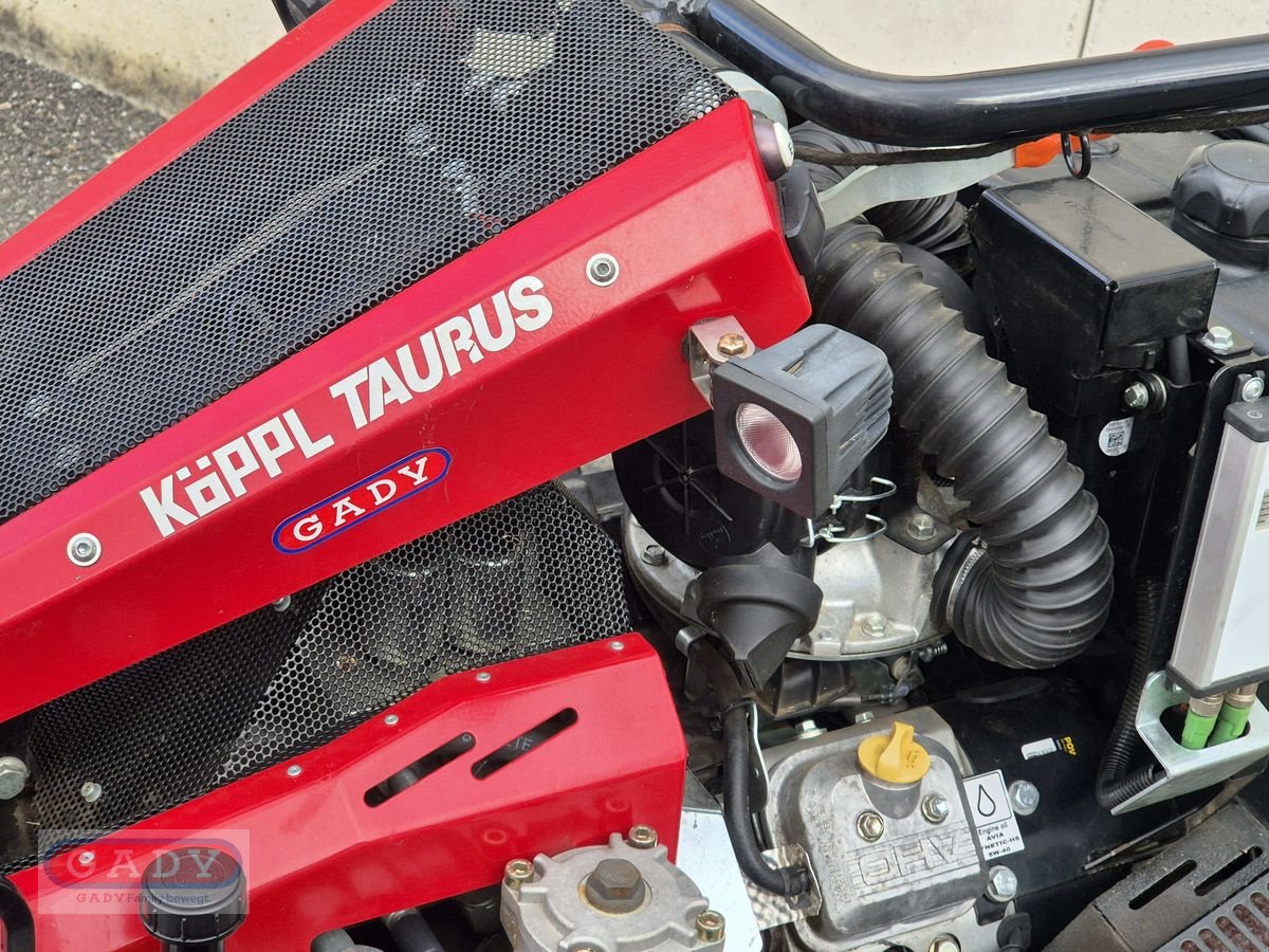 Motormäher a típus Köppl TAURUS 23 MOTORMÄHER, Gebrauchtmaschine ekkor: Lebring (Kép 7)