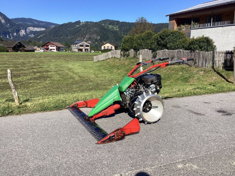 Motormäher tip Rapid ++2 Reihige Alu-Stachelwalze++, Gebrauchtmaschine in Bezau (Poză 1)