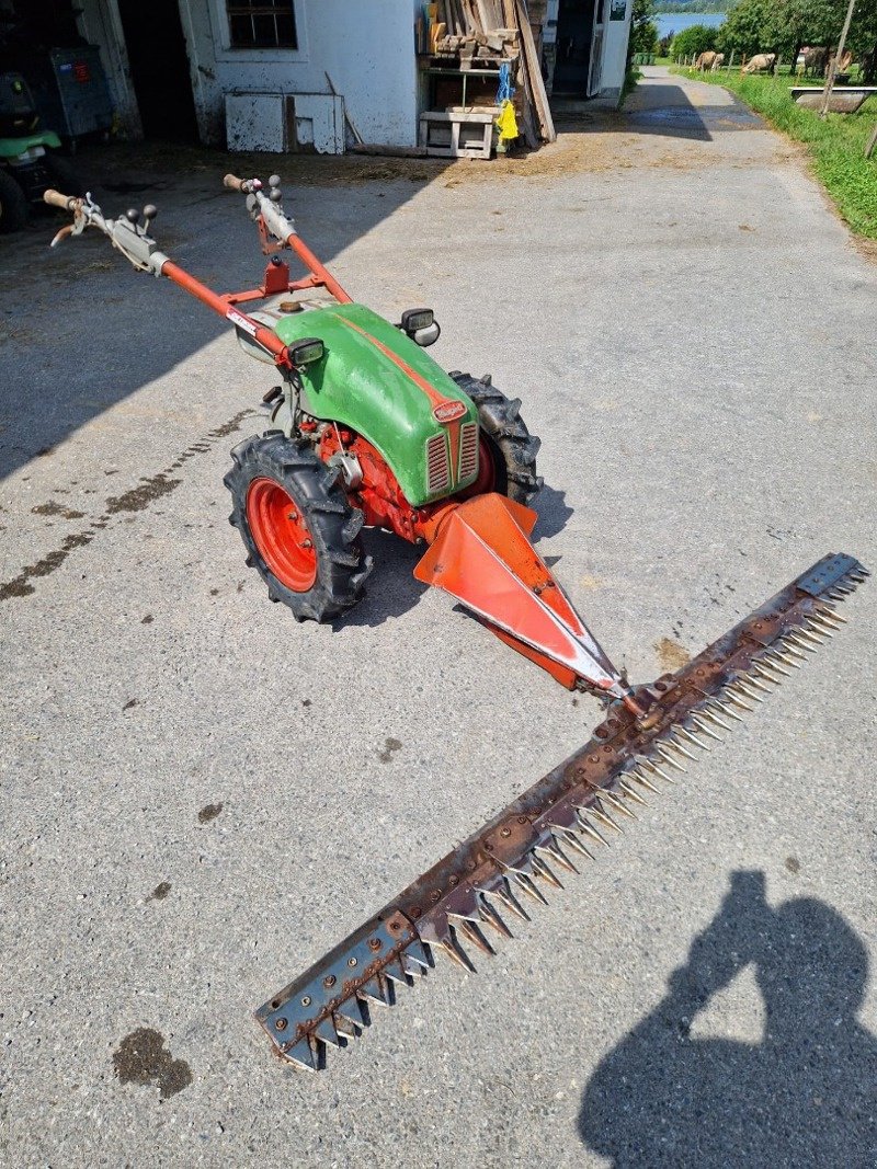 Motormäher du type Rapid 505, Gebrauchtmaschine en Altendorf (Photo 1)