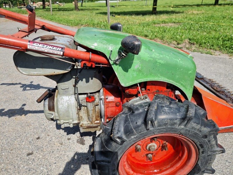 Motormäher typu Rapid 505, Gebrauchtmaschine v Altendorf (Obrázok 2)