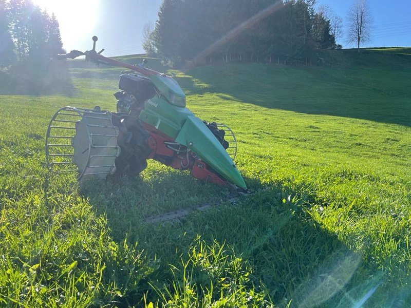 Motormäher des Typs Rapid Euro 3, Gebrauchtmaschine in Henau (Bild 3)