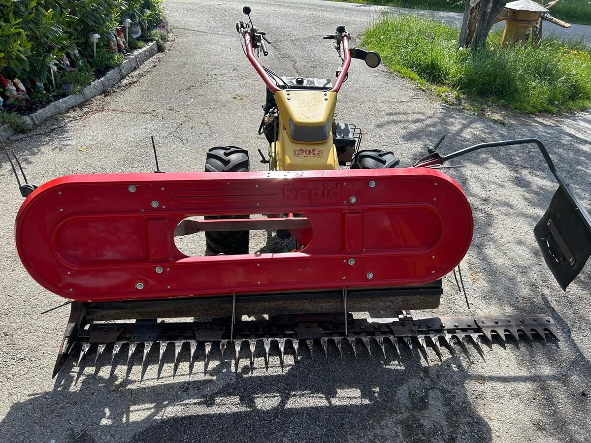 Motormäher of the type Rapid Rapid Eingrasmotormäher, Gebrauchtmaschine in Berndorf (Picture 1)