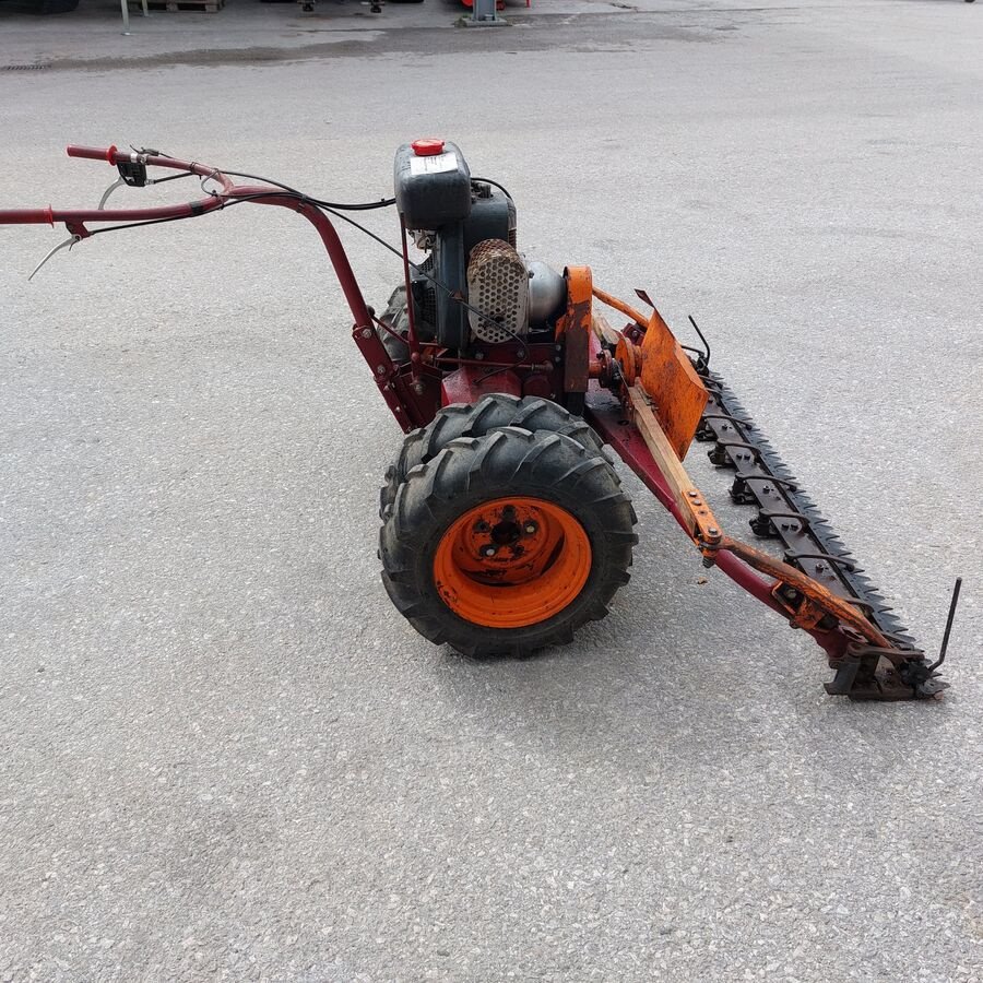 Motormäher of the type Rasant Junior Motormäher, Gebrauchtmaschine in Flachau (Picture 3)