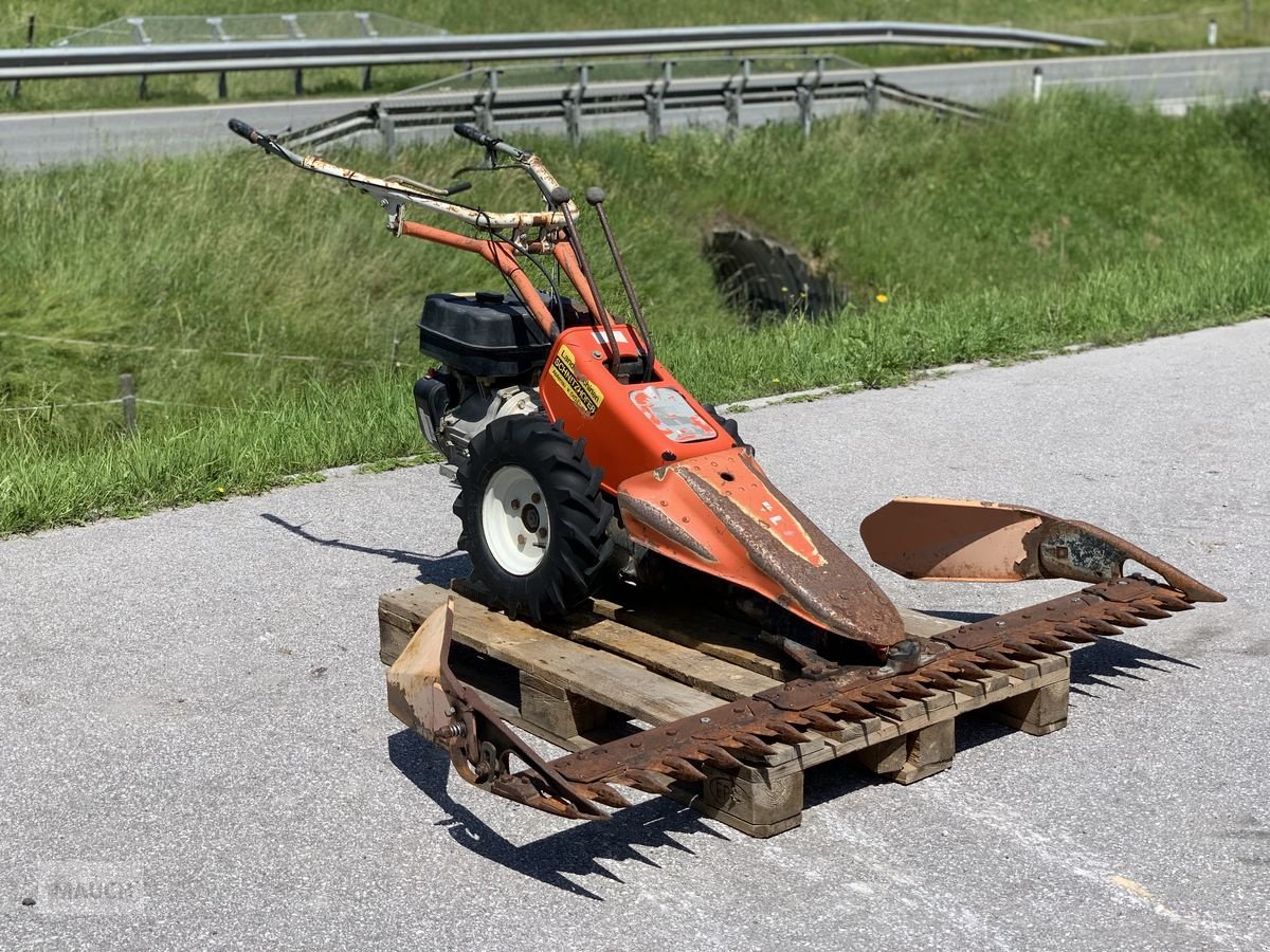 Motormäher van het type Reform Motormäher 116 + 160cm Balken, Gebrauchtmaschine in Eben (Foto 3)