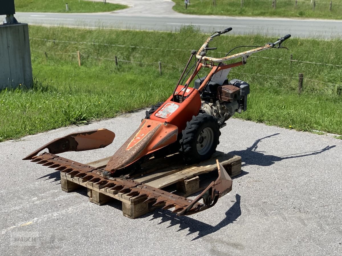 Motormäher van het type Reform Motormäher 116 + 160cm Balken, Gebrauchtmaschine in Eben (Foto 1)