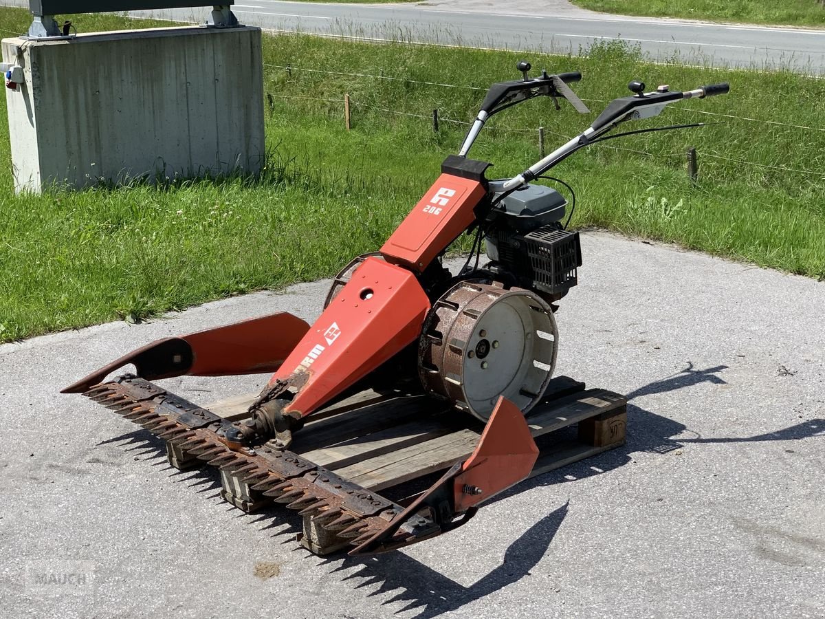 Motormäher van het type Reform Motormäher 206, Gebrauchtmaschine in Eben (Foto 1)