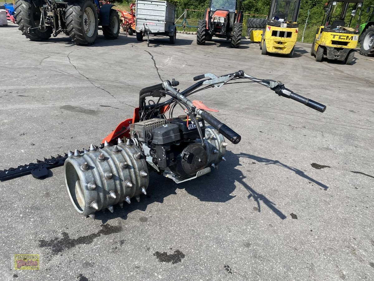 Motormäher типа Reform RM 8 Motormäher mit Freischnittbalken 190cm, Gebrauchtmaschine в Kötschach (Фотография 11)