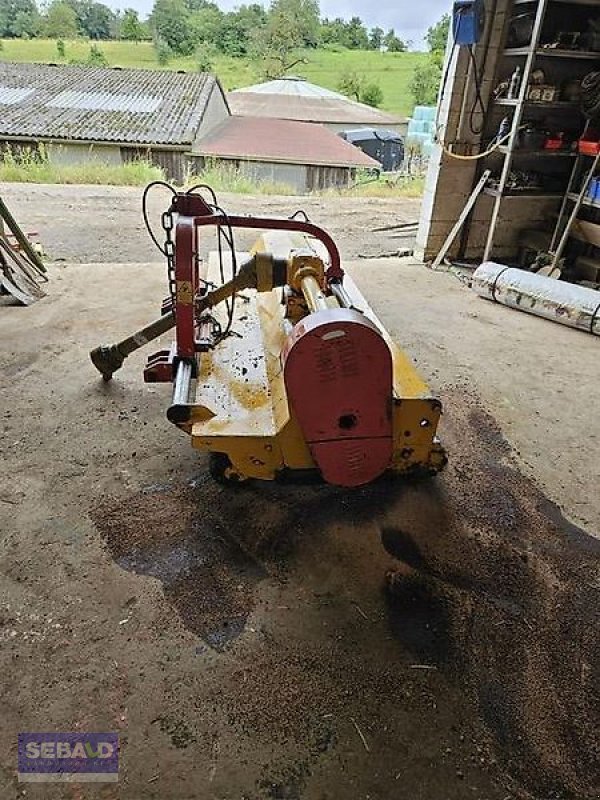 Mulcher del tipo Aedes Heckmulcher SMU 2750, Gebrauchtmaschine en Zweibrücken (Imagen 10)