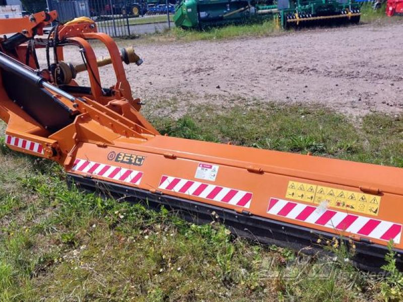 Mulcher tip Berti TRINCIARGINI WING 250, Gebrauchtmaschine in Sülzetal OT Altenweddingen (Poză 1)