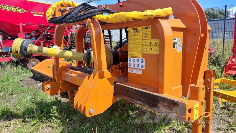 Mulcher van het type Berti TRINCIARGINI WING 250, Gebrauchtmaschine in Sülzetal OT Altenweddingen (Foto 5)