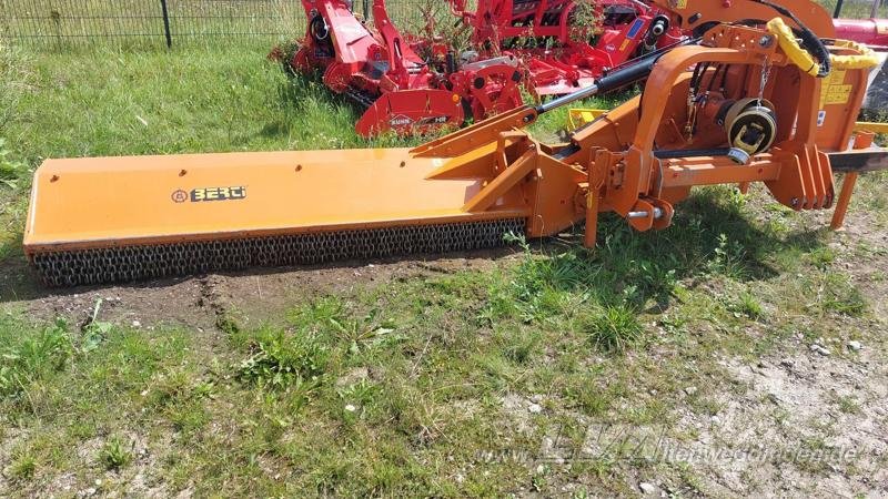 Mulcher типа Berti TRINCIARGINI WING 250, Gebrauchtmaschine в Sülzetal OT Altenweddingen (Фотография 3)