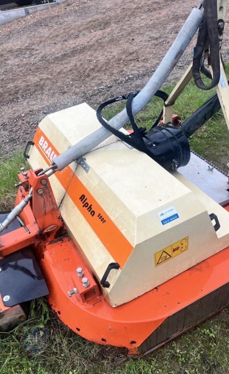 Mulcher a típus Braun ALPHA 2000, Gebrauchtmaschine ekkor: Mörstadt (Kép 3)