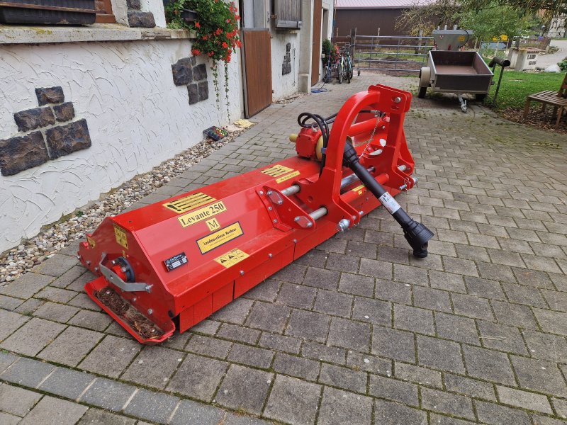 Mulcher van het type Del Morino Levante 250, Gebrauchtmaschine in Rothenburg o.d.T (Foto 1)