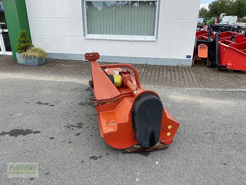 Mulcher typu DRAGONE VL 240 Festanbau, kein Berti, kein Maschio, Gebrauchtmaschine w Kroppach (Zdjęcie 5)