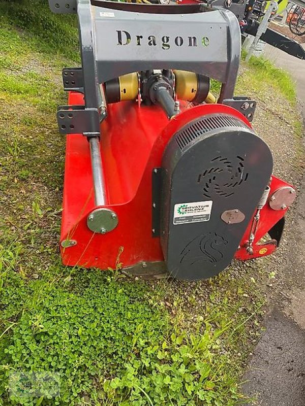 Mulcher of the type DRAGONE VP 280, Vorführmaschine in Prüm-Dausfeld (Picture 3)