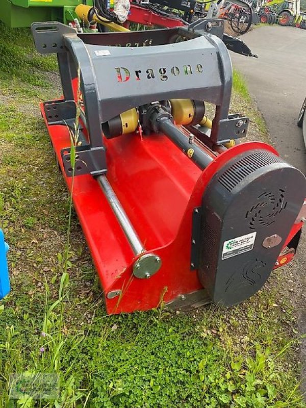 Mulcher del tipo DRAGONE VP 280, Vorführmaschine en Prüm-Dausfeld (Imagen 4)