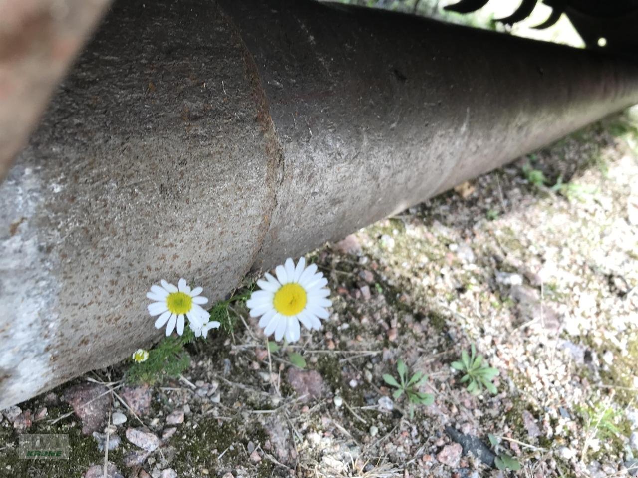 Mulcher des Typs Dücker USM 21VR4, Gebrauchtmaschine in Alt-Mölln (Bild 8)