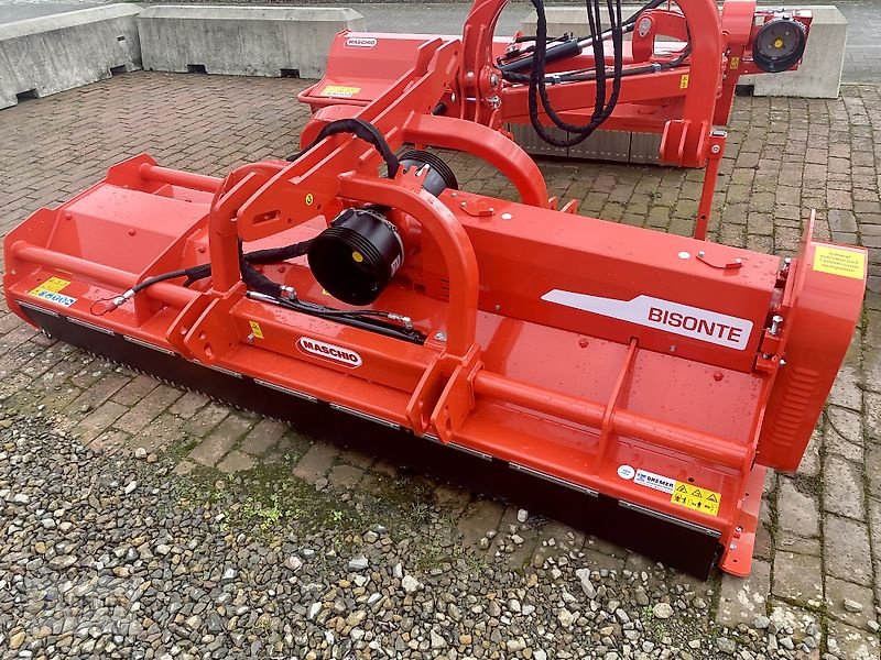 Mulcher typu Maschio BISONTE 280, Gebrauchtmaschine v Asendorf (Obrázek 18)