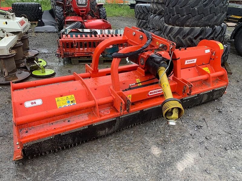 Mulcher typu Maschio BISONTE 280, Gebrauchtmaschine w Walzbachtal-Jöhlingen (Zdjęcie 2)