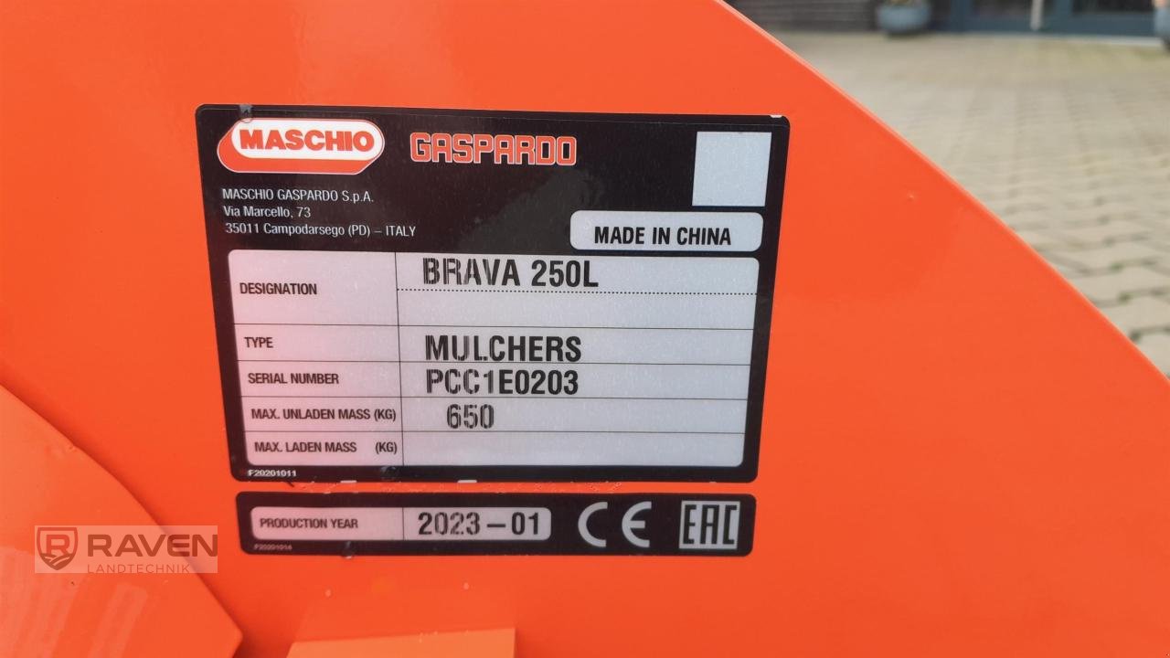 Mulcher del tipo Maschio Brava 250 mech., Neumaschine en Sulingen (Imagen 8)