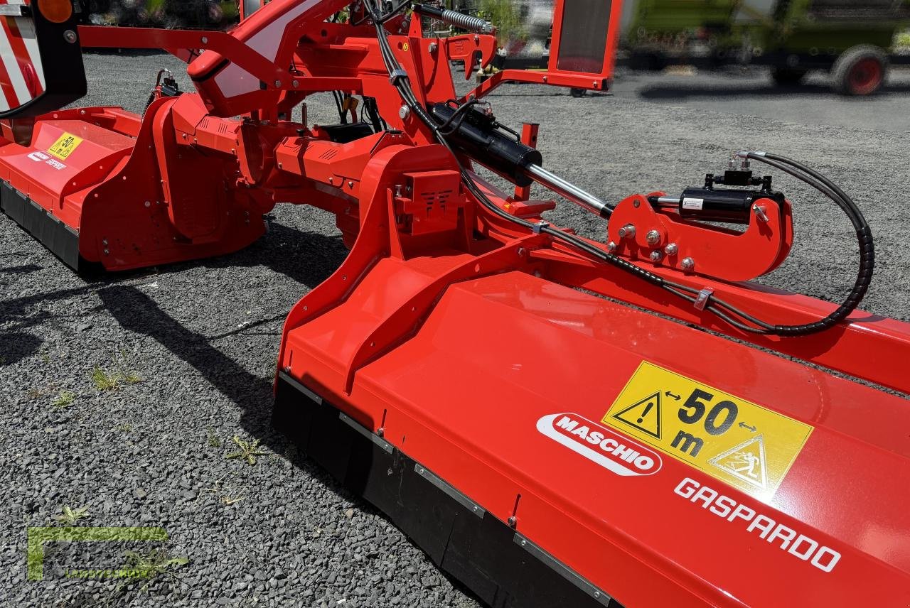 Mulcher of the type Maschio DELTA 8300 + Bufallo 280, Neumaschine in Homberg (Ohm) - Maulbach (Picture 11)