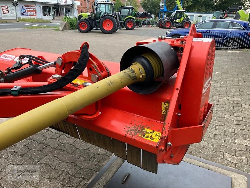 Mulcher a típus Maschio GIRAFFA 185, Gebrauchtmaschine ekkor: Asendorf (Kép 15)