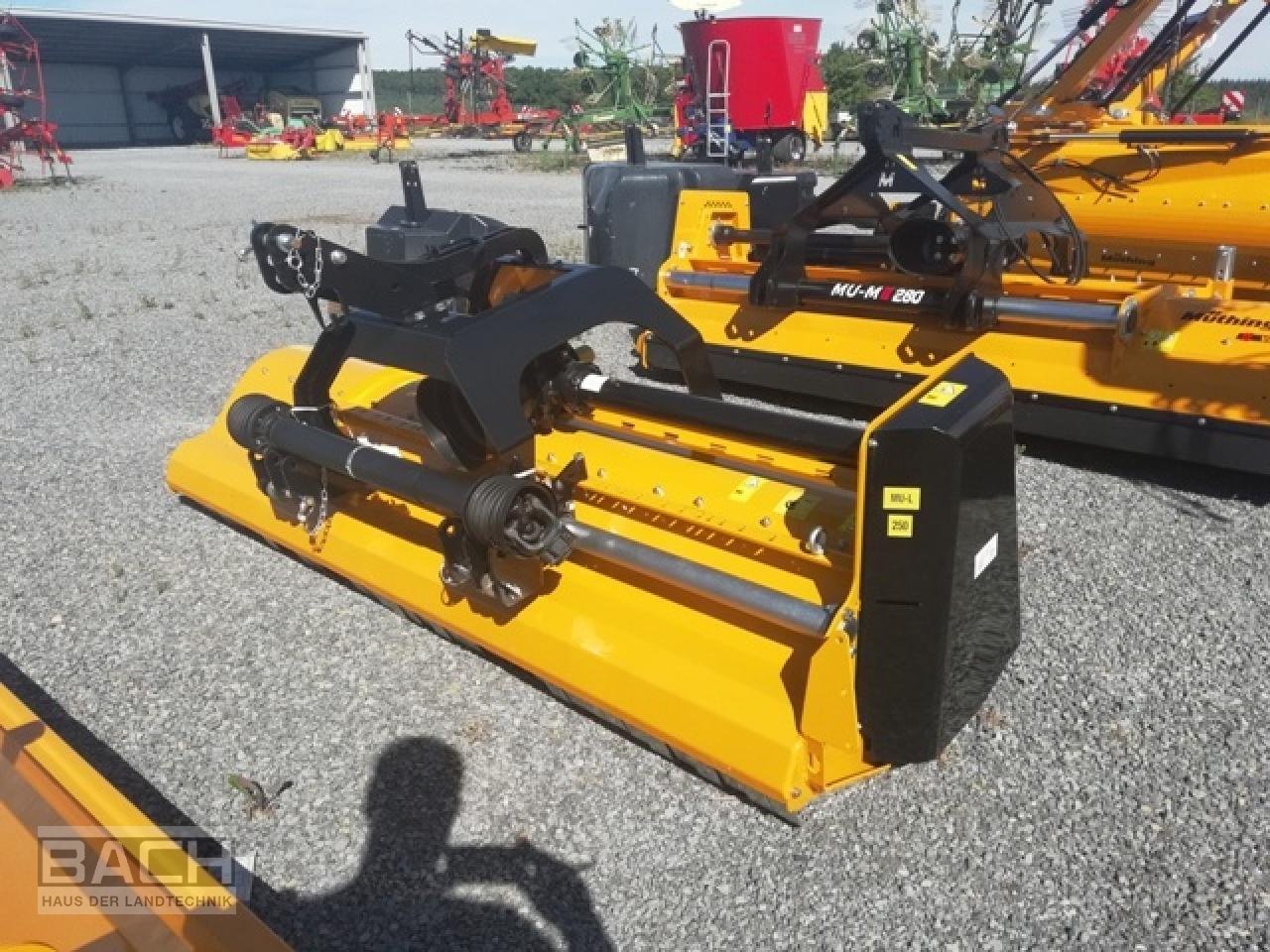 Mulcher του τύπου Müthing MU-L 250, Neumaschine σε Boxberg-Seehof (Φωτογραφία 1)