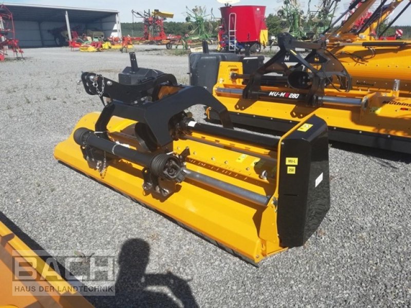 Mulcher του τύπου Müthing MU-L 250, Neumaschine σε Boxberg-Seehof (Φωτογραφία 1)