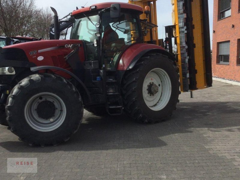 Mulcher typu Müthing MU-M 600 Vario, Neumaschine w Lippetal / Herzfeld (Zdjęcie 2)