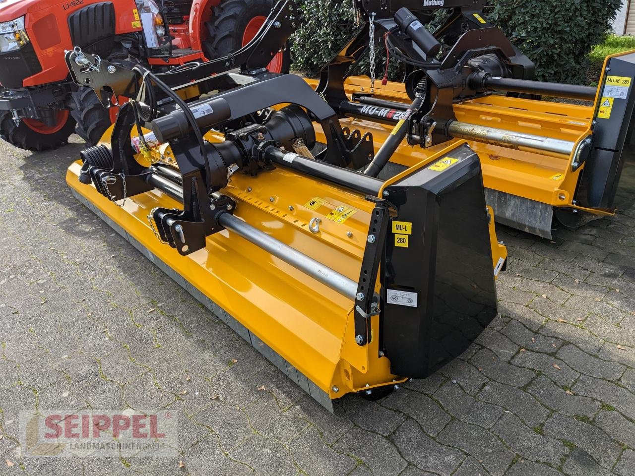 Mulcher Türe ait Müthing MUL 280 FRONT+HECK, Neumaschine içinde Groß-Umstadt (resim 1)