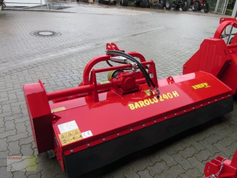 Mulcher del tipo Omarv Barolo 240 H, Neumaschine en Reinheim (Imagen 1)