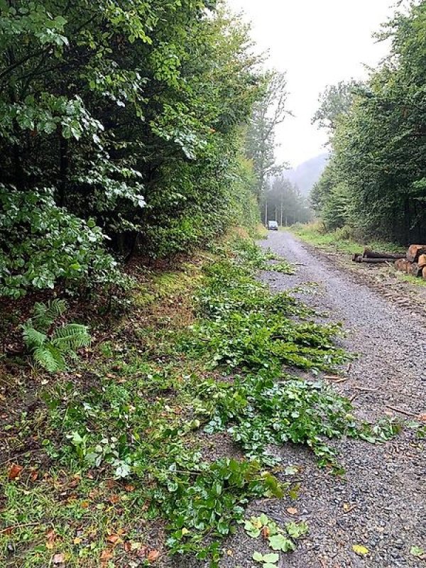 Mulcher des Typs Omarv Böschungsmulcher Auslegemulcher Mulcher Auslegemäher, Gebrauchtmaschine in Schmallenberg (Bild 11)