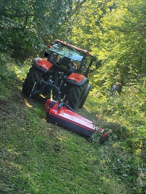 Mulcher des Typs Omarv Böschungsmulcher Auslegemulcher Mulcher Seitenmulcher, Gebrauchtmaschine in Schmallenberg (Bild 2)