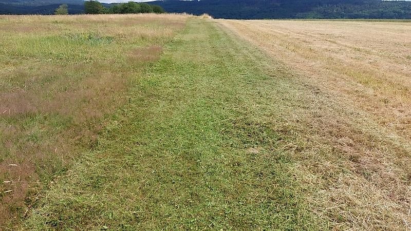 Mulcher des Typs Omarv Böschungsmulcher Auslegemulcher Schlegelmulcher Mulcher, Gebrauchtmaschine in Schmallenberg (Bild 6)