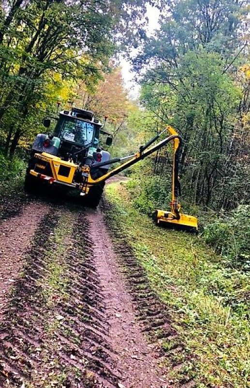 Mulcher des Typs Omarv Böschungsmulcher Auslegemulcher Schlegelmulcher Mulcher, Gebrauchtmaschine in Schmallenberg (Bild 3)