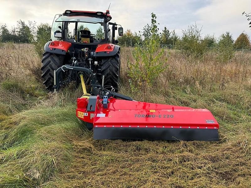 Mulcher Türe ait Omarv Böschungsmulcher Seitenmulcher Schlegelmulcher Mulcher, Gebrauchtmaschine içinde Schmallenberg (resim 1)