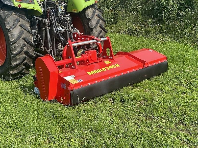 Mulcher des Typs Omarv Mulcher Schlegelmulcher Mulchgerät Mäher, Gebrauchtmaschine in Schmallenberg (Bild 2)