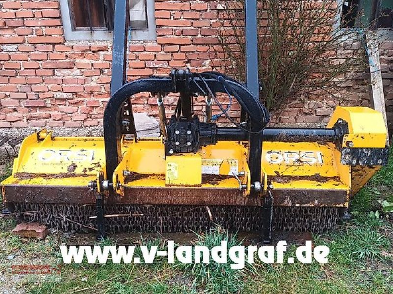 Mulcher типа Orsi Big Forrest 2550, Gebrauchtmaschine в Ostheim/Rhön