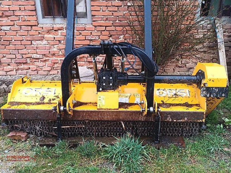 Mulcher Türe ait Orsi Big Forrest 2550, Gebrauchtmaschine içinde Ostheim/Rhön (resim 1)